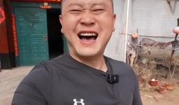 大勇爆料视频全集,揭秘事件真相与幕后黑幕