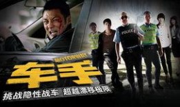 车手在线观看,速度与激情的云端对决